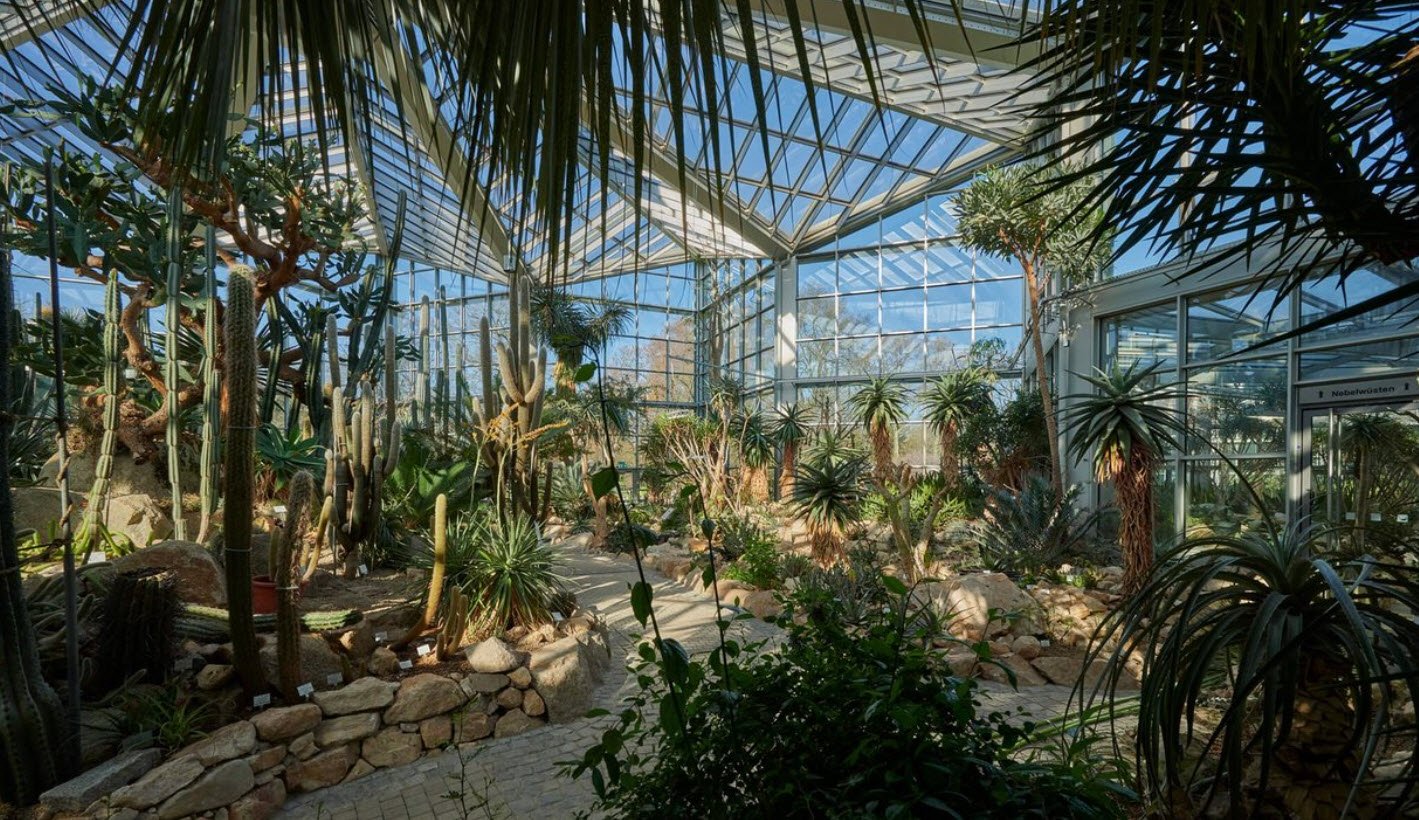 Botanischer Garten Frankfurt, Frankfurt am Main, Germany, Germany